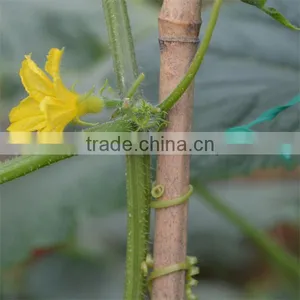 15cm 20cm With 2.0mm and 2.6mm PVC Green Plastic Twist Tie thumbnail-6