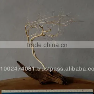 Natural Unique Rare Wood Sculpture thumbnail-1