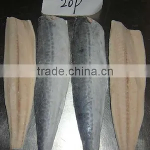 Frozen Spanish Mackerel Fillet thumbnail-4