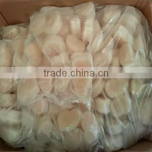 Cooked and Raw Fresh Scallop Shells for Sale thumbnail-1