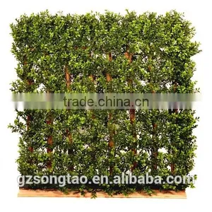 New Generation Boxwood Top Matt Available in UV Protected and Inherently Flame Retardant thumbnail-1