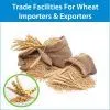 Get Trade Finance Facilities (L/C, SBLC, BG, BCL & Etc) for Iron Importers & Exporters thumbnail-1