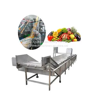 Fruit Drying System thumbnail-1