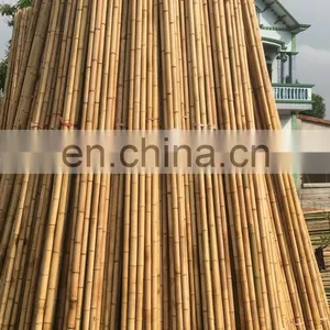 Wholesale High Quality Trend Production Cheapest Price Raw Bamboo Viet Nam Standard Size Open for Indoor/ Outdoor Furniture thumbnail-5
