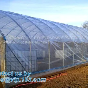Plastic Film Agriculture Greenhouse,6 Mil Poly Anti-uv Plastic Greenhouse Film,Anti-fog UV Resistant,mushroom,TOMATO PAC thumbnail-2