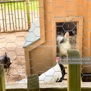 Chicken Wire Hexagonal Wire Mesh Chicken Wire Netting Wire Netting Poultry Fence Poultry Mesh thumbnail-4