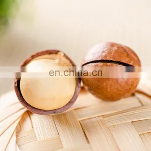 Not Roasted Macadamia Nuts Seeds Factory Price Macadamia Nuts Wholesale Roasted Macadamia Nuts thumbnail-5