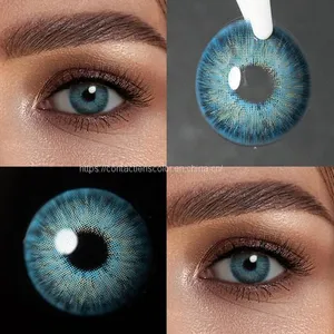 Golden Supplier Pattaya Series Natural 1 Year Rose Color Contact Lens Soft Cosmetic Coloured  Contact Lenses thumbnail-5