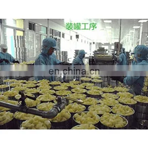 Shanghai Factory Automatic Industrial Canned Fruit Ginaca Pineapple Canning Machine Processing Plant Production Line thumbnail-3