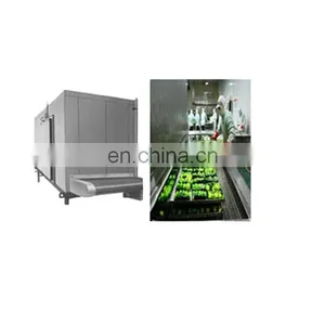 Sea Buckthorn Seed Powder Freeze Drying Processing Machine thumbnail-1