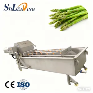 Bubble Washing Machine Fruit Vegetable Washing Equipments Commercial Bubble Parsley Cleaning Equipment thumbnail-5
