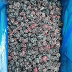 New Crop High Quality IQF Freeze Frozen Blackberry thumbnail-3