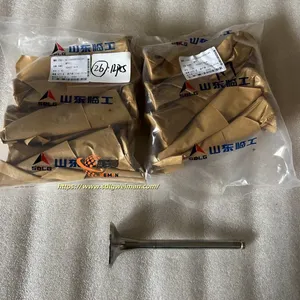 ORIGINAL SDLG Exhaust Valve 4110000556145 APPLY FOR SDLG WHEEL LOADER LG978 L978F L975F thumbnail-1