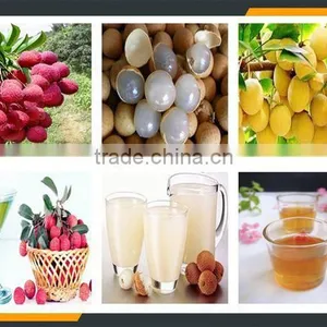 Leader Large Capacity and High Peeling Rate Litchi Skin Separater Machine thumbnail-6