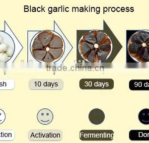 Factory Direct Sell Black Garlic Fermentation Box Price thumbnail-5