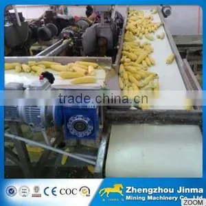 Food Grade Belt Conveyor Used For Food Industry thumbnail-2