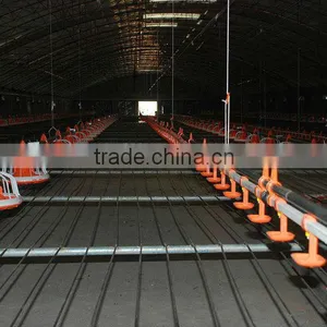 High Quality Automatic Poultry Farming Equipment thumbnail-6