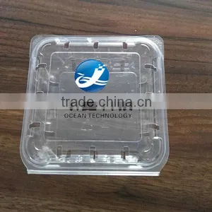 Thermoforming Packing Plastic Thermoforming Packing thumbnail-1