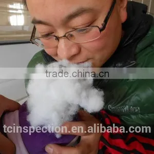 Plush Toys Inspection thumbnail-3
