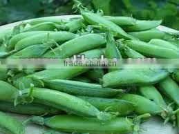 Peas thumbnail-1