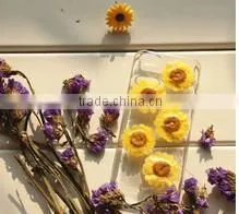 3D DIY Custom Flower Phone Case for Iphone 6, True Flower Grass Flip Phone Case, Indeed Flower Leaf Phone Cover thumbnail-6