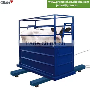 3ton / 1kg Hot Sales Zebra 8 Digital Electronic Cattle Weighing Scales thumbnail-5