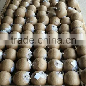 Fireworks Pyrotechnics Shell Machine thumbnail-4