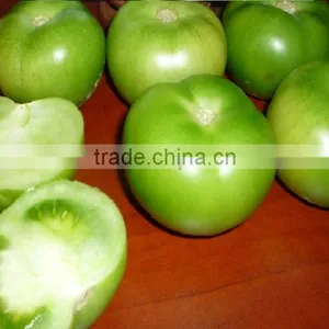 Fresh Green Tomatoes thumbnail-1