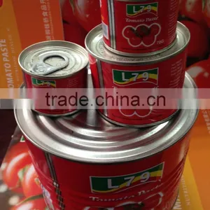 198G China Factory Hot Sell Nature Canned Tomato Paste thumbnail-4