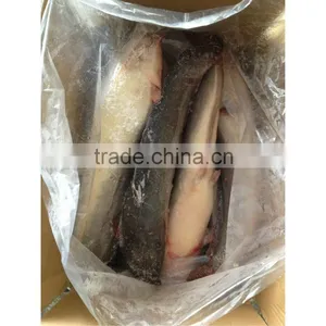 Latex Catfish Inflatable thumbnail-1