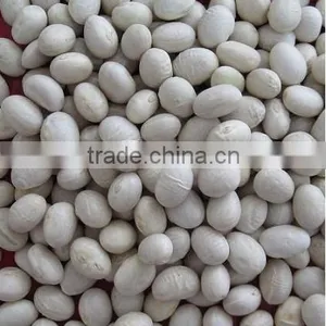 White Beans Round Shape thumbnail-1