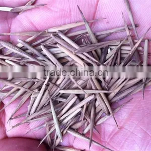 High Sprouting Rate Bamboo Seeds For Growing Bamboo Trees and Shoots thumbnail-1
