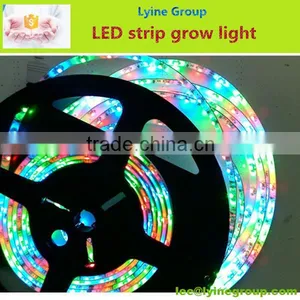 Made in China Led Hydroponic Led Light Strip Wholesale thumbnail-1