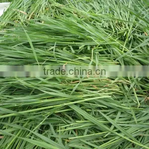 2016 Organic Young Barley Grass Powder thumbnail-2