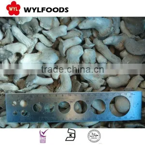 Hot Sale Grade A Iqf Frozen Oyster With High Quality thumbnail-5