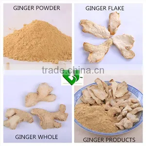 Dried Ginger thumbnail-1
