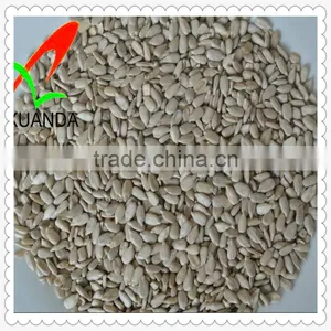 Inner Monglia Sunflower Seed Kernels (bakery) thumbnail-1