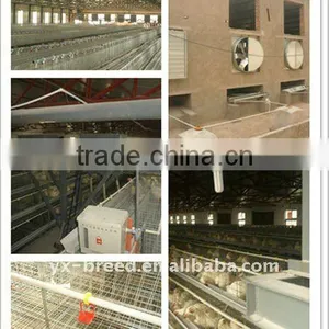 Sheds for Poultry Farm in Automatic Operation thumbnail-1