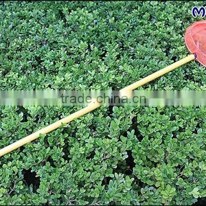 Long Handle Landing Nets For Fishing thumbnail-3