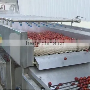 Fruit Vegetable Orange Lemon Brush Roller Washing Machine Washer thumbnail-3