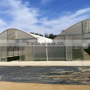 Multi Span Greenhouse thumbnail-1