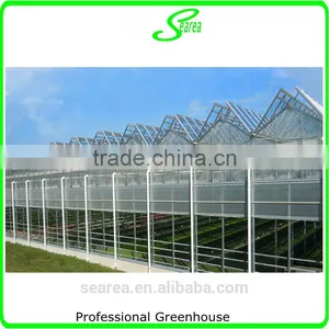 Hot Sale Tropical Greenhouse thumbnail-4
