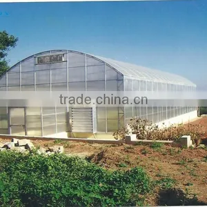 Single-span Agriculture Greenhouse Baolida Tunnel Green House thumbnail-1