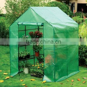 Large Greenhouse / Walk in Greenhouse thumbnail-1