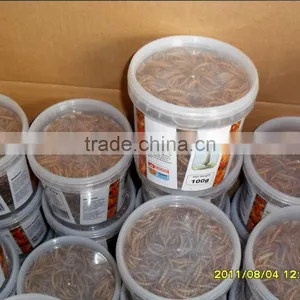 Best Selling Mealworm Treats thumbnail-5