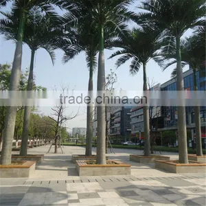 China Wholesale Royal Palm Tree Ornamental Artificial Washingtonia Robusta Palm Trees for Sale thumbnail-1