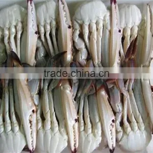 Frozen Half Cut Blue Swimming Crab With Reasonable Price thumbnail-1