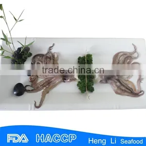 HL0088 Raw Frozen Tentacles in Cartons thumbnail-2