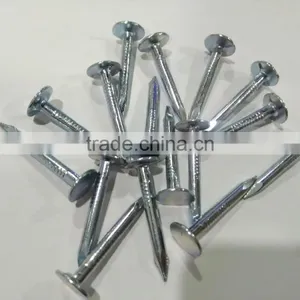 Galvanized Clout Nails With Flat Head thumbnail-2