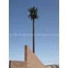 Monopalms Tower thumbnail-2